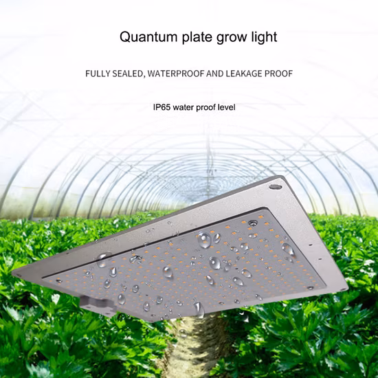 Economical Linear Grow 100W High Bay Fulll Spectrum LED Light for Indoor Plants